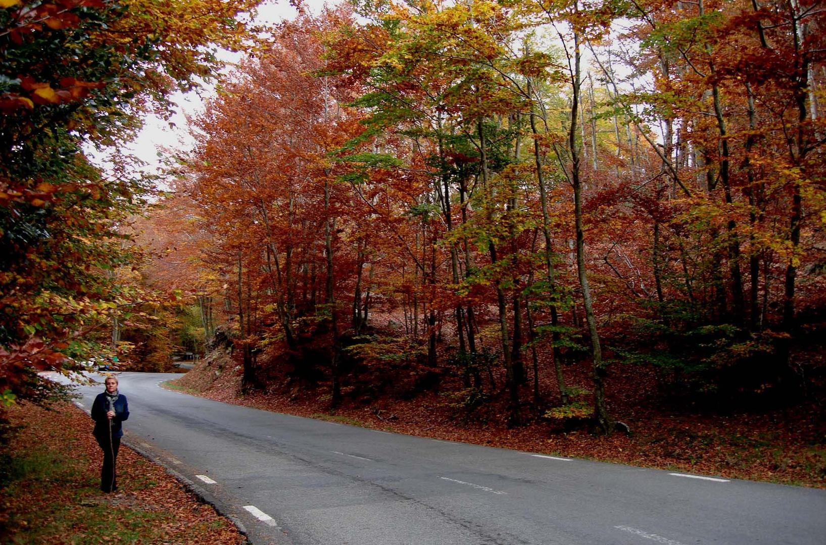 El color de Otoño