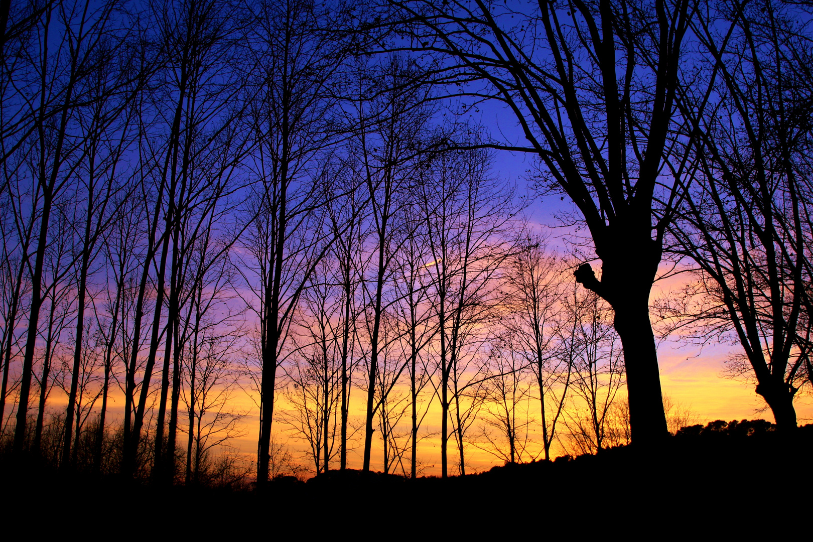 El color del atardecer