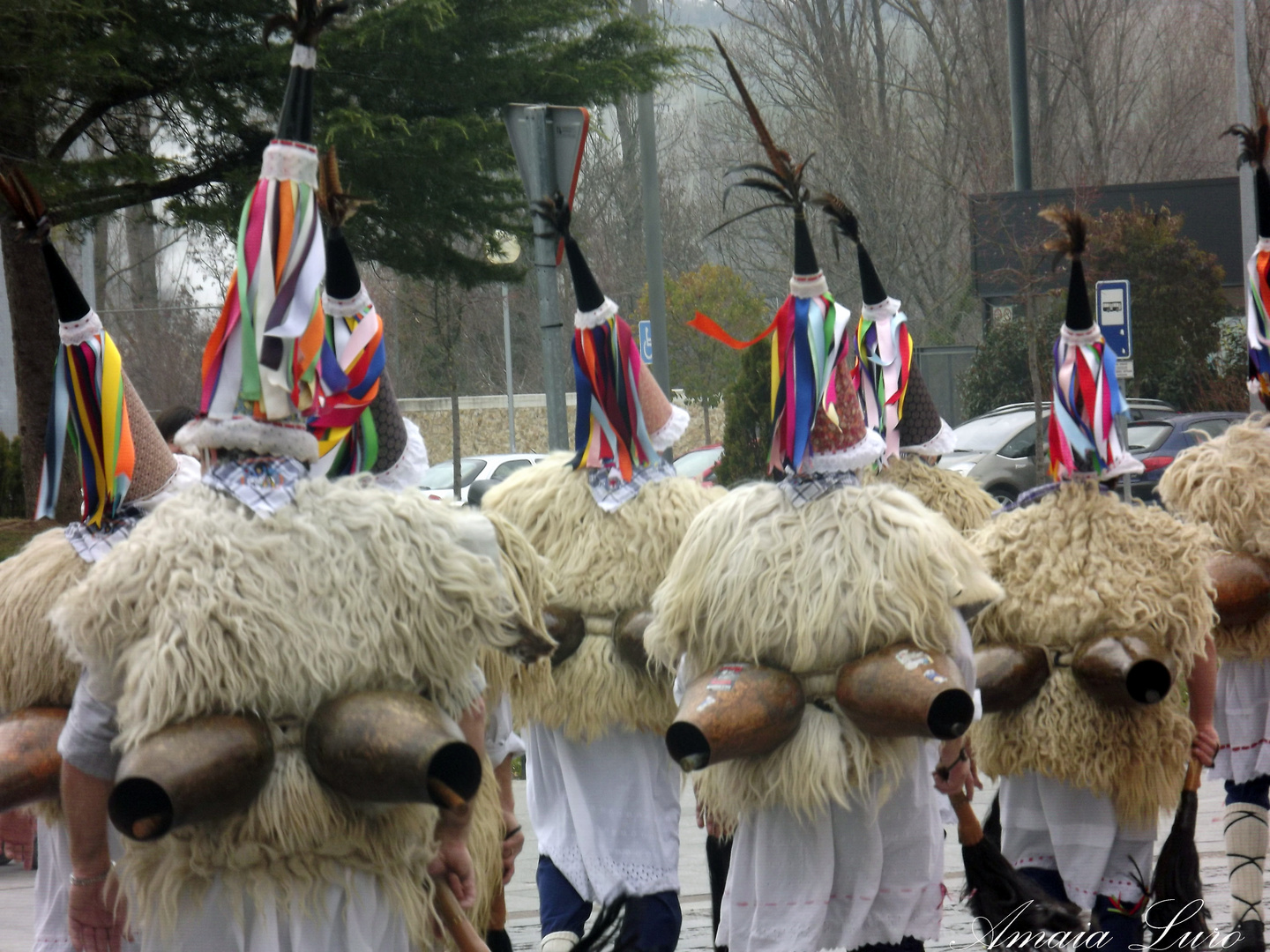 el color del carnaval