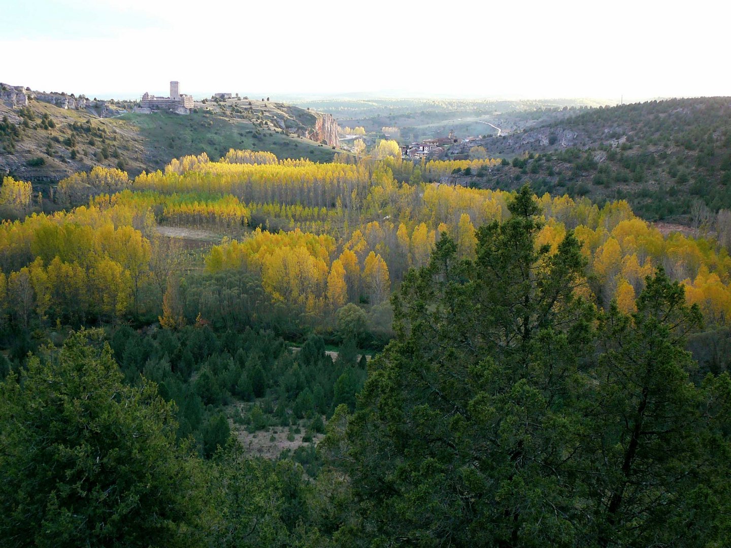 El color del Otoño.