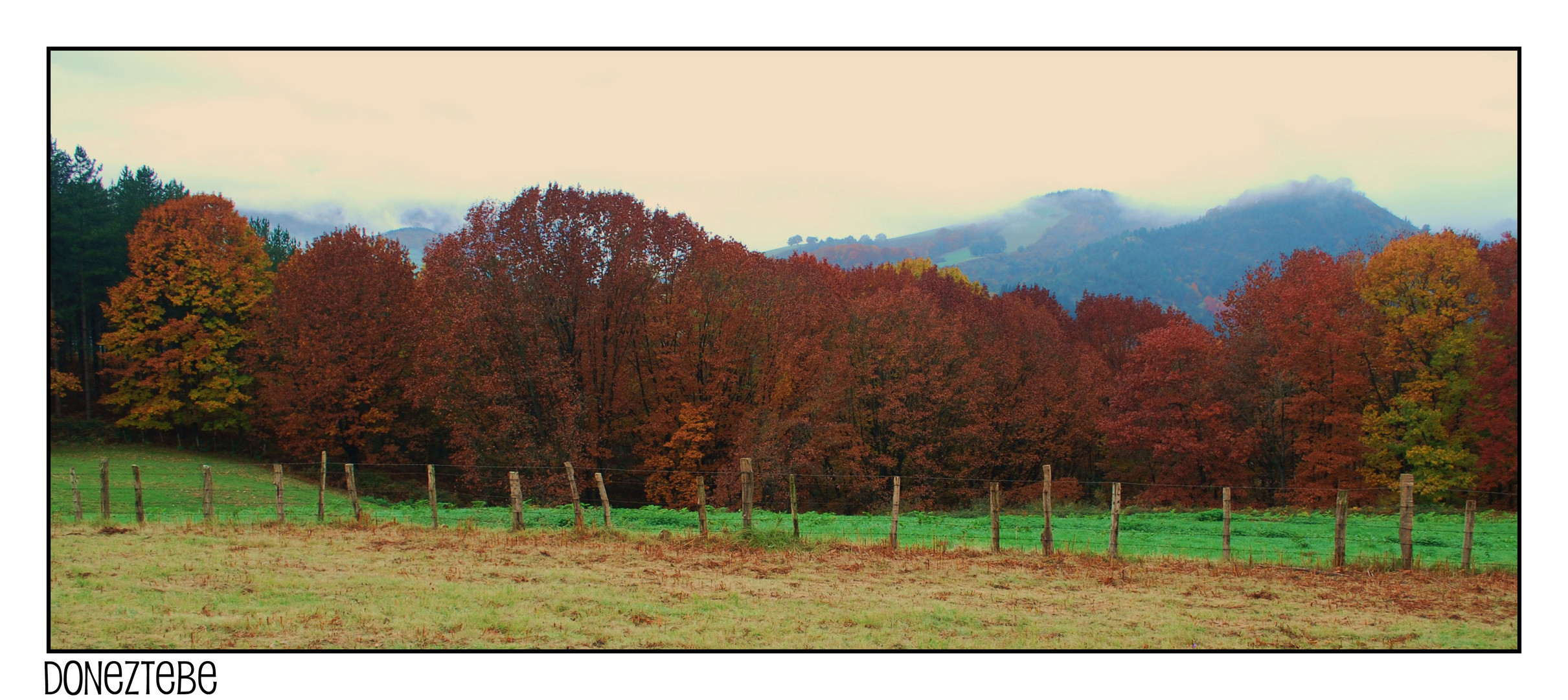 el color del otoño