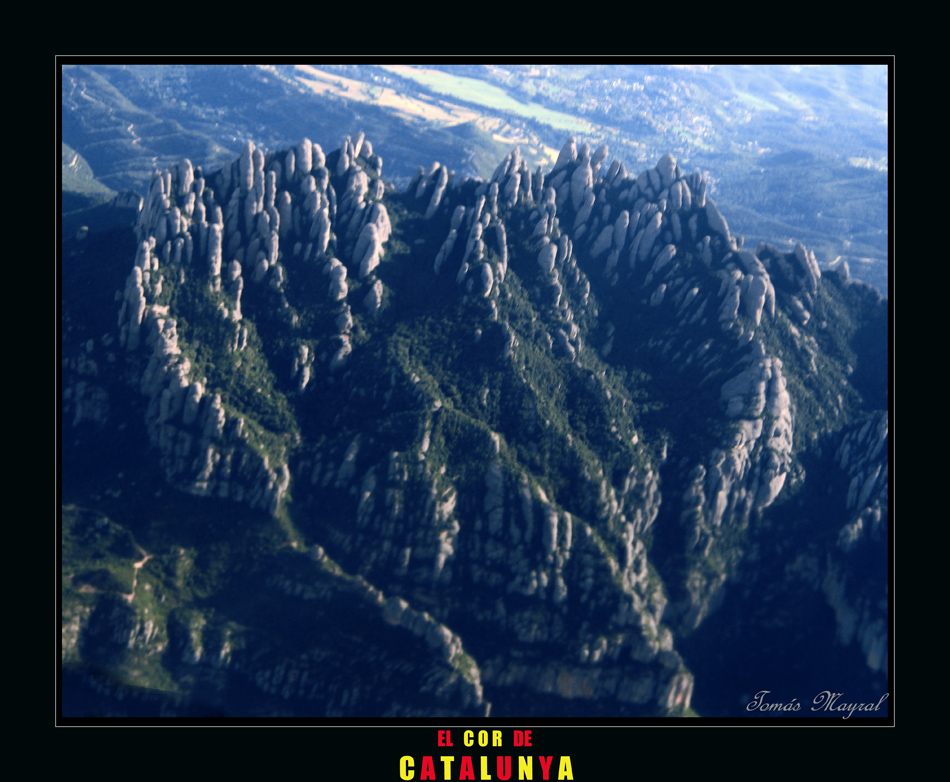 El CORAZON de CATALUNYA