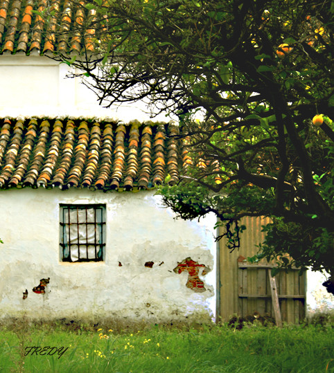 EL CORTIJO