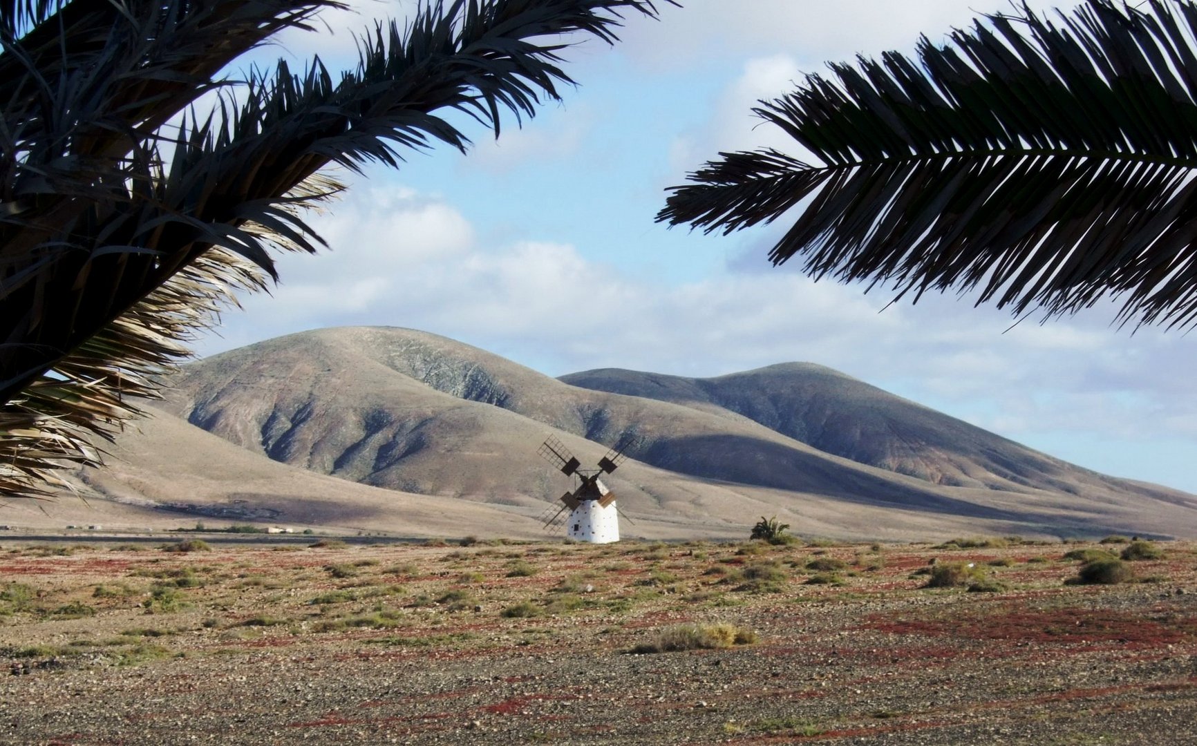 El Cotillo I