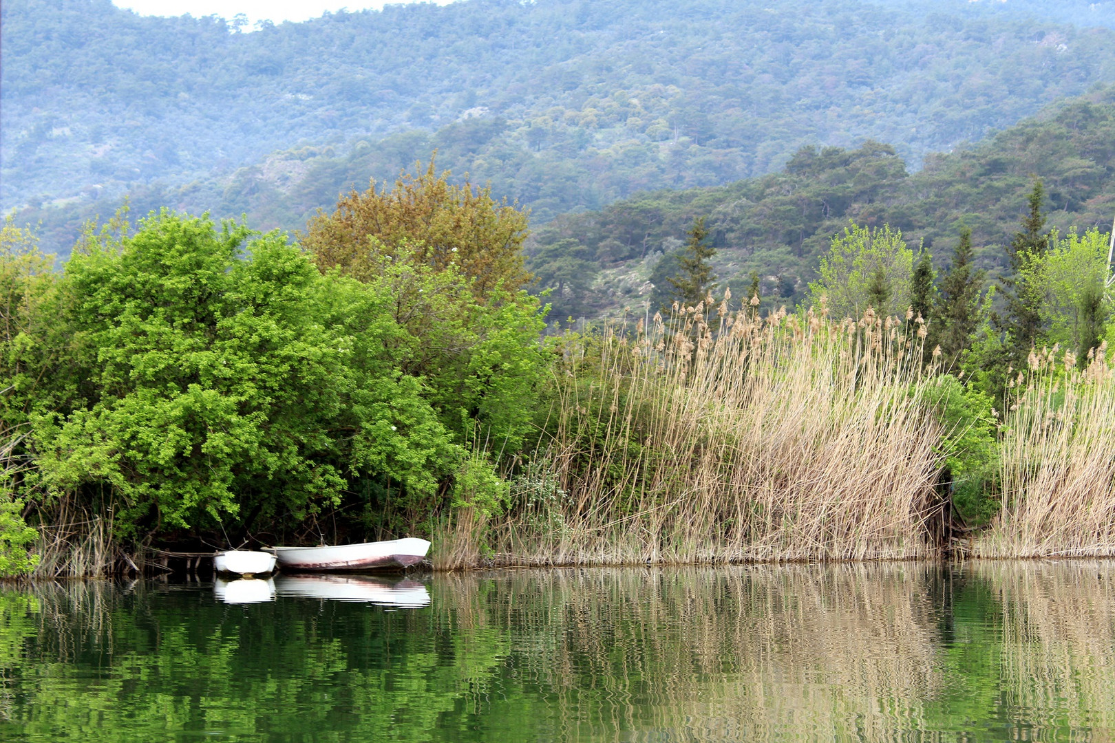 El cuadro de la naturaleza