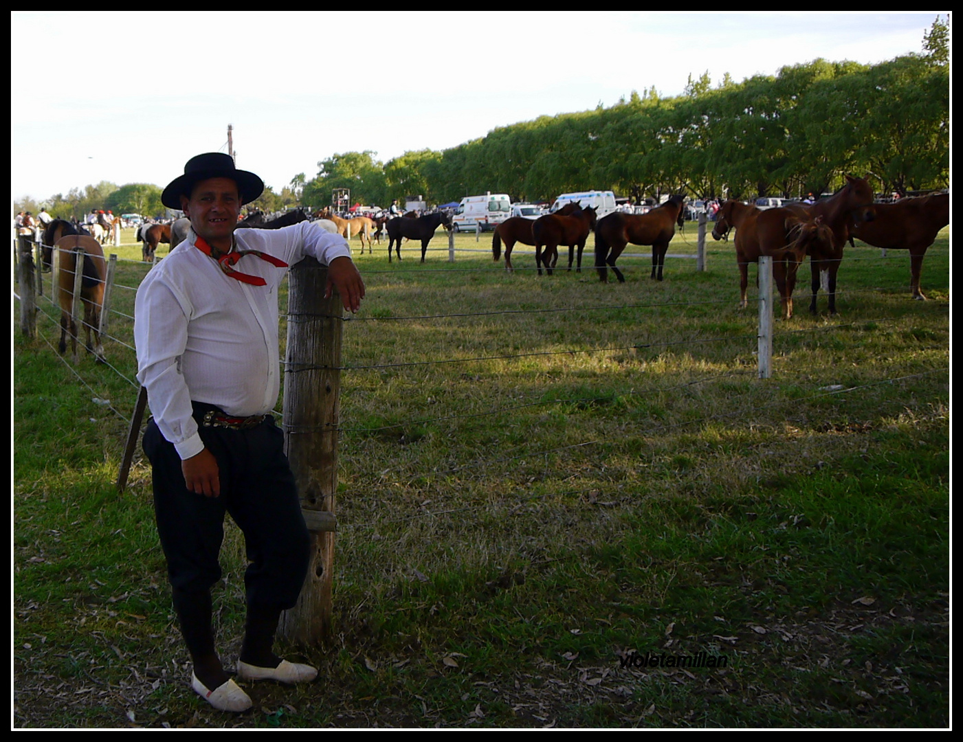 EL CUIDADOR DE LOS CABALLOS