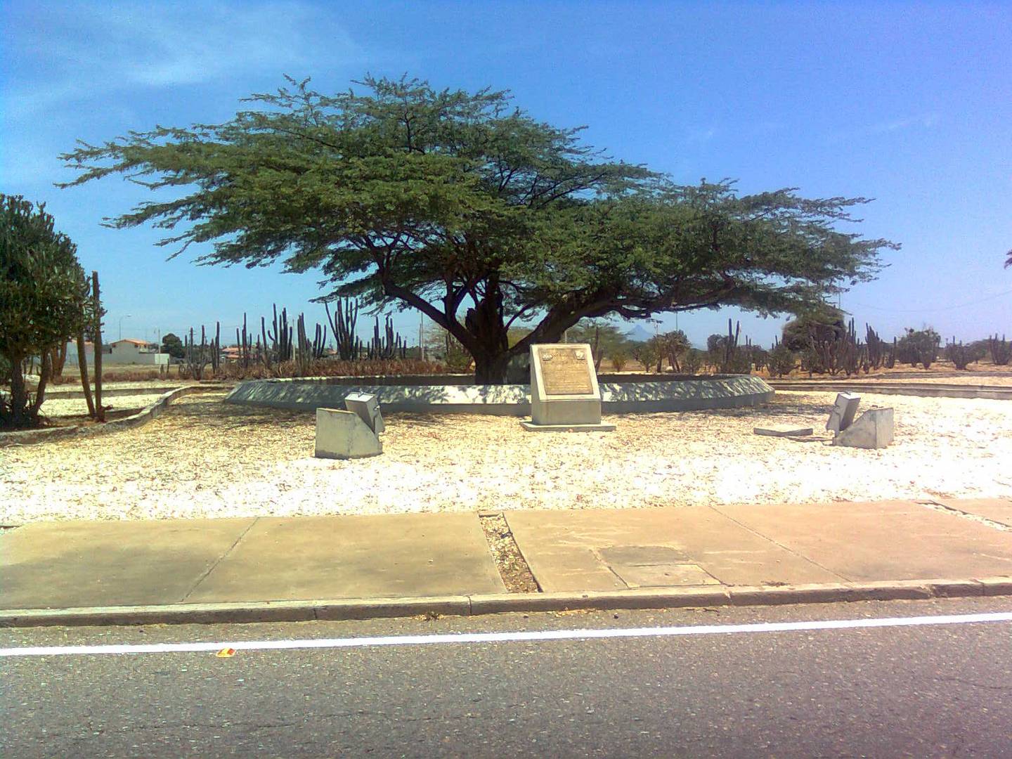 El Cují, en Paraguaná, Estado Falcón, Venezuela