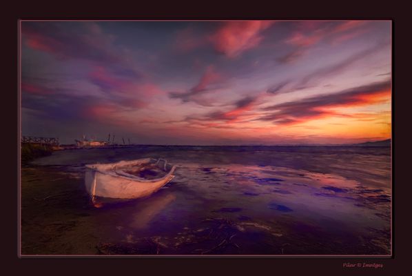 El Delta, sueño o realidad?