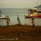 EL DESCANSO DE LAS GAVIOTAS