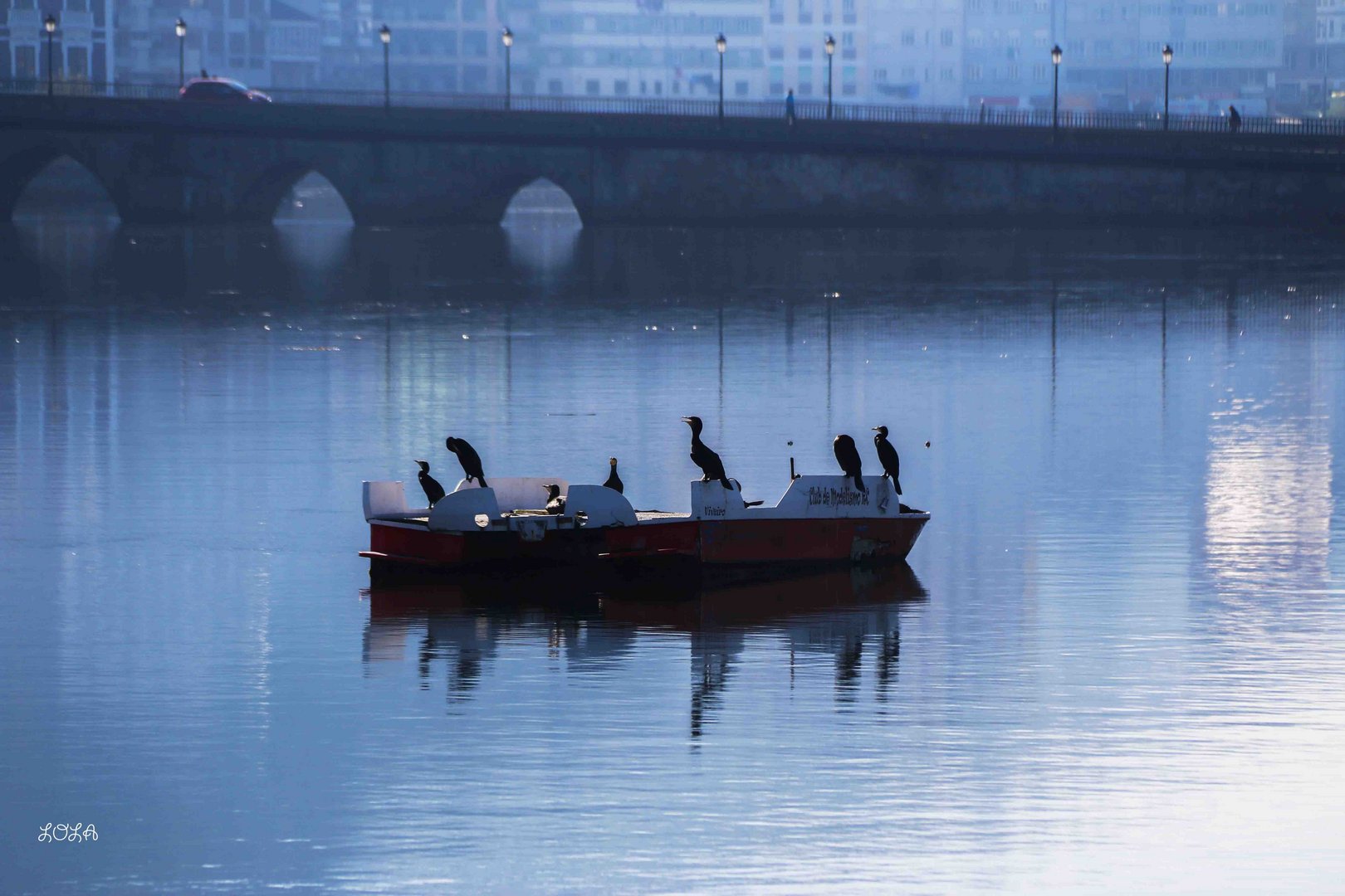 EL DESCANSO DE LOS CORMORANES