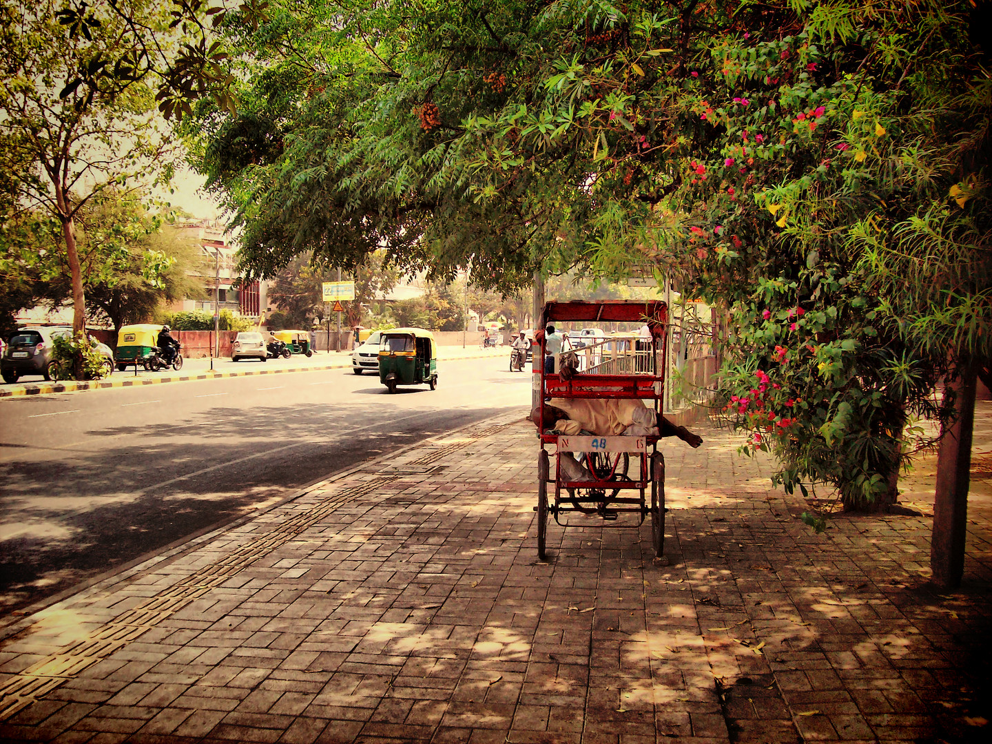 El descanso del guerrero, Delhi