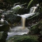 El dorado (hecho en asturias)