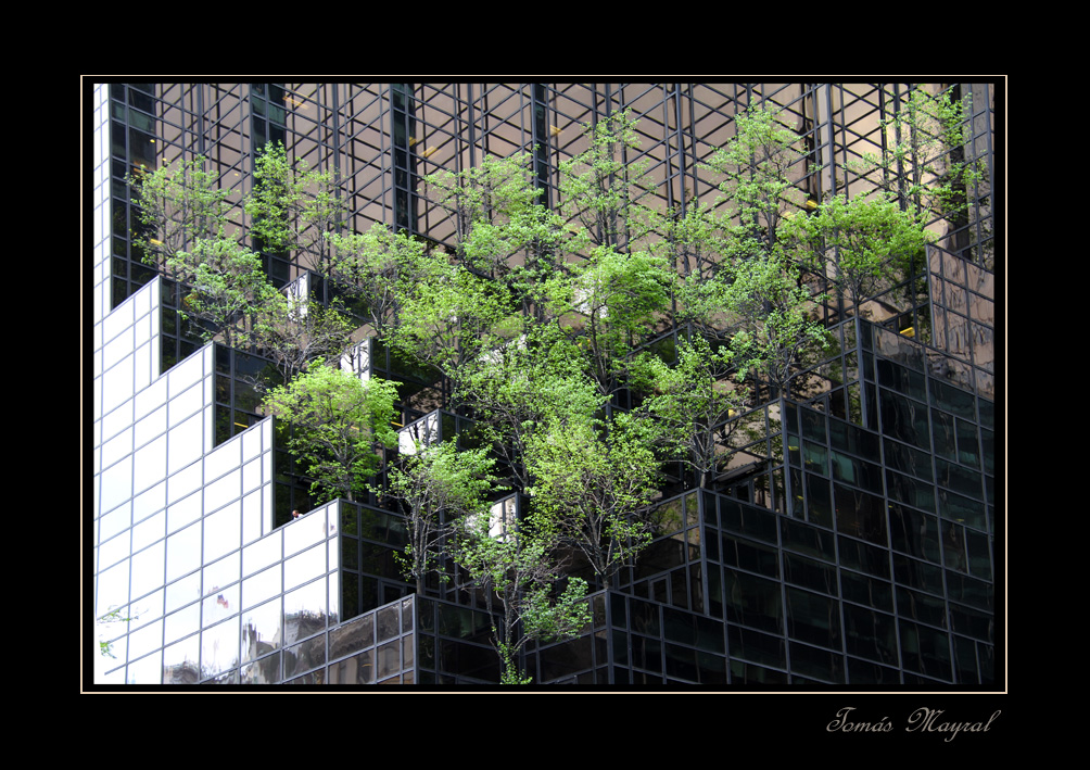 El Edificio Viviente-II-Dedicada a Miguel Angel Ramon