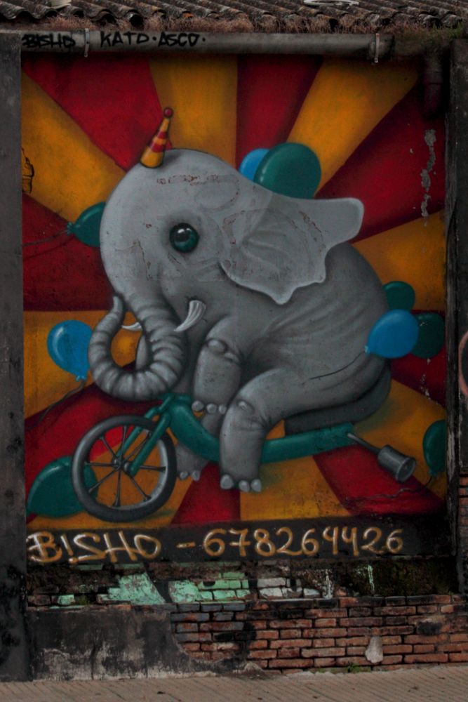 el elefante de Bisho