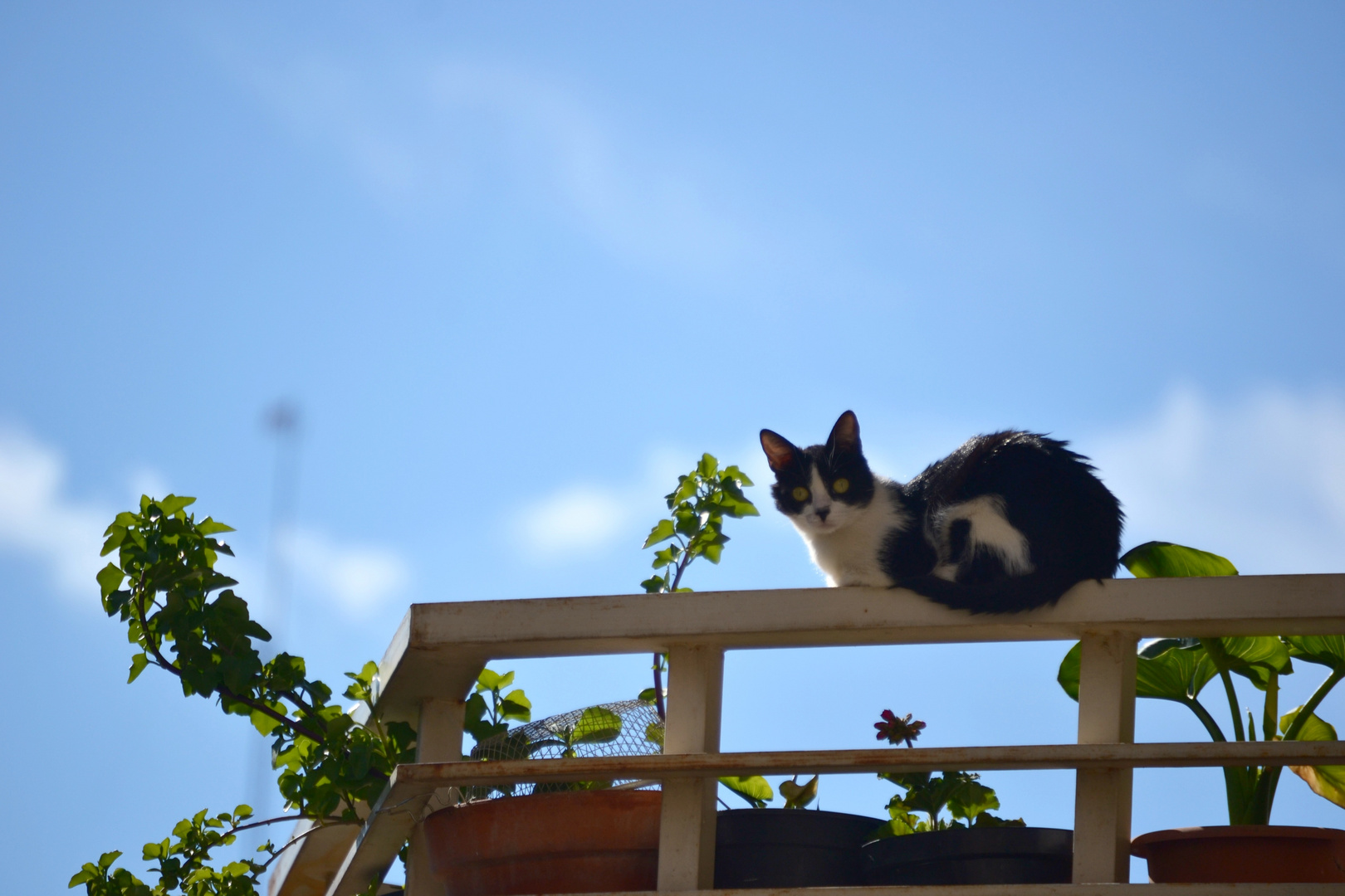 El equilibrio es posible