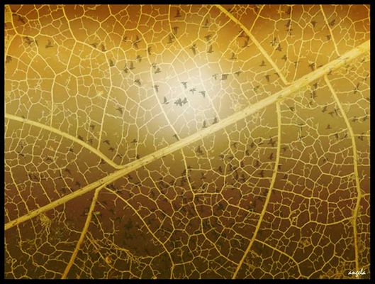 El espíritu del otoño