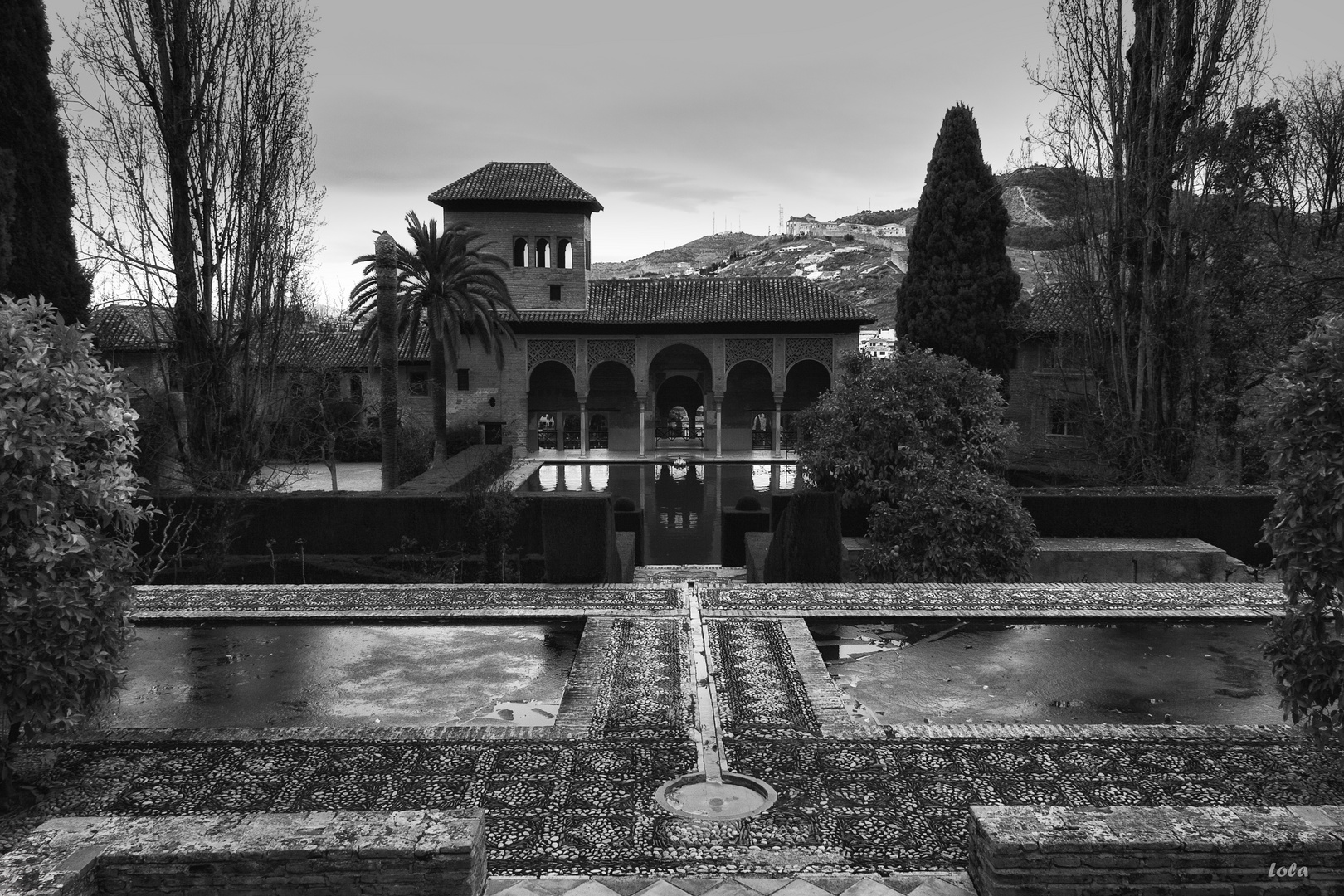 El estanque helado (Jardines de El Partal)