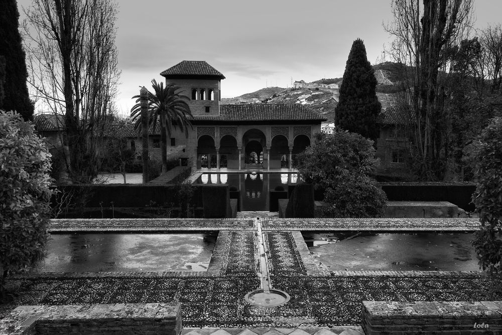 El estanque helado (Jardines de El Partal)