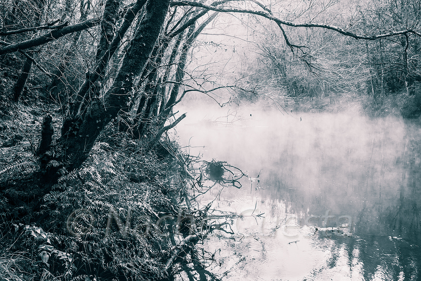  EL EUME BAJO LA NIEBLA