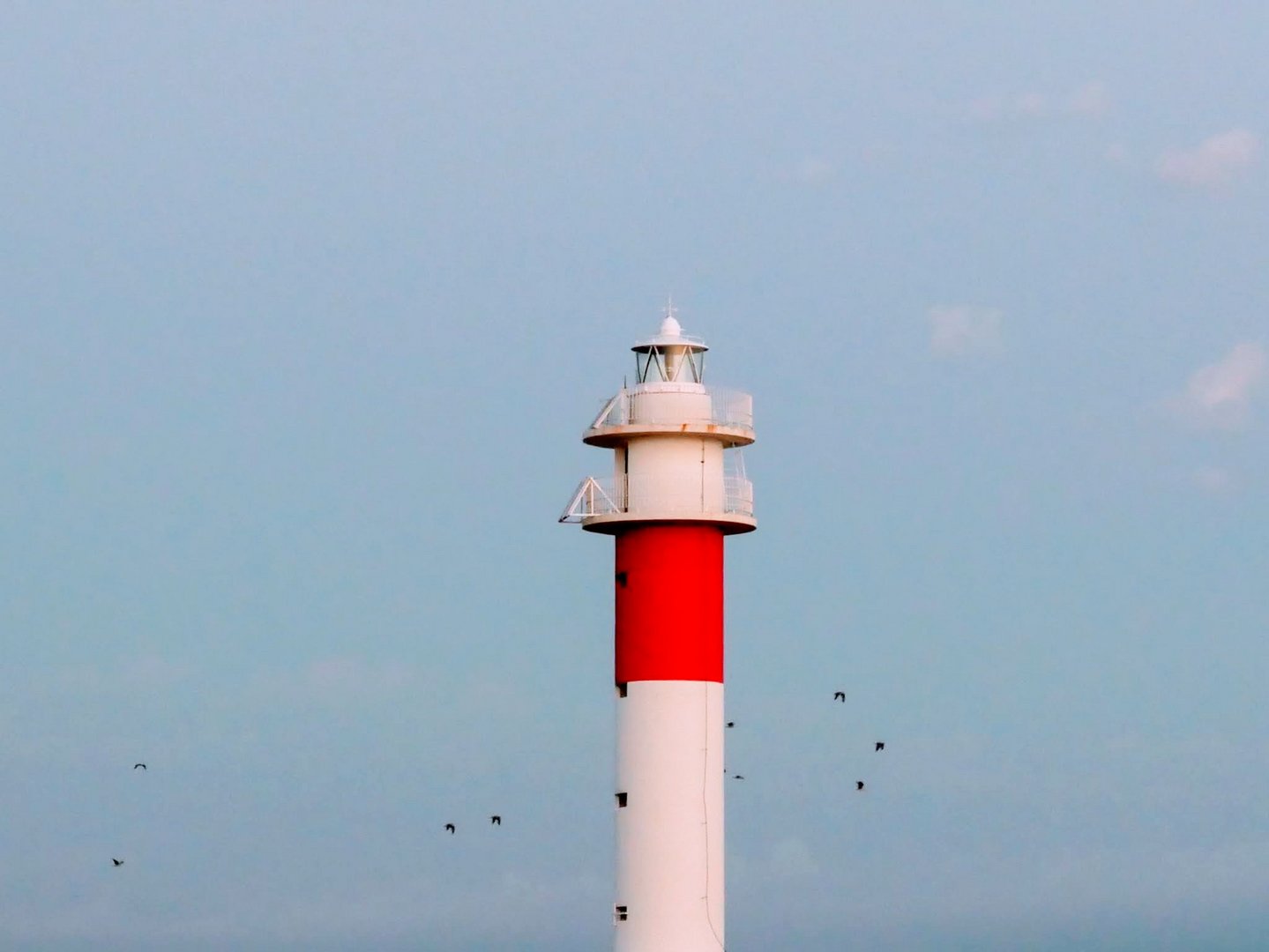 El far de la Punta del Fangar al Delta de l'Ebre 