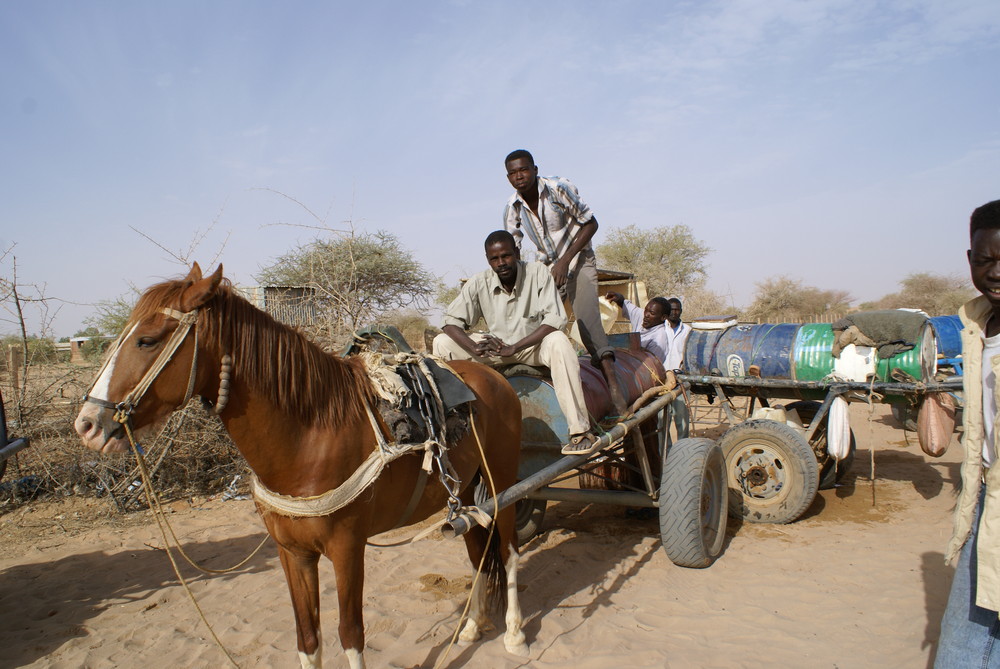 El Fasher water delivery teams one man and a horse