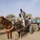 El Fasher water delivery teams one man and a horse