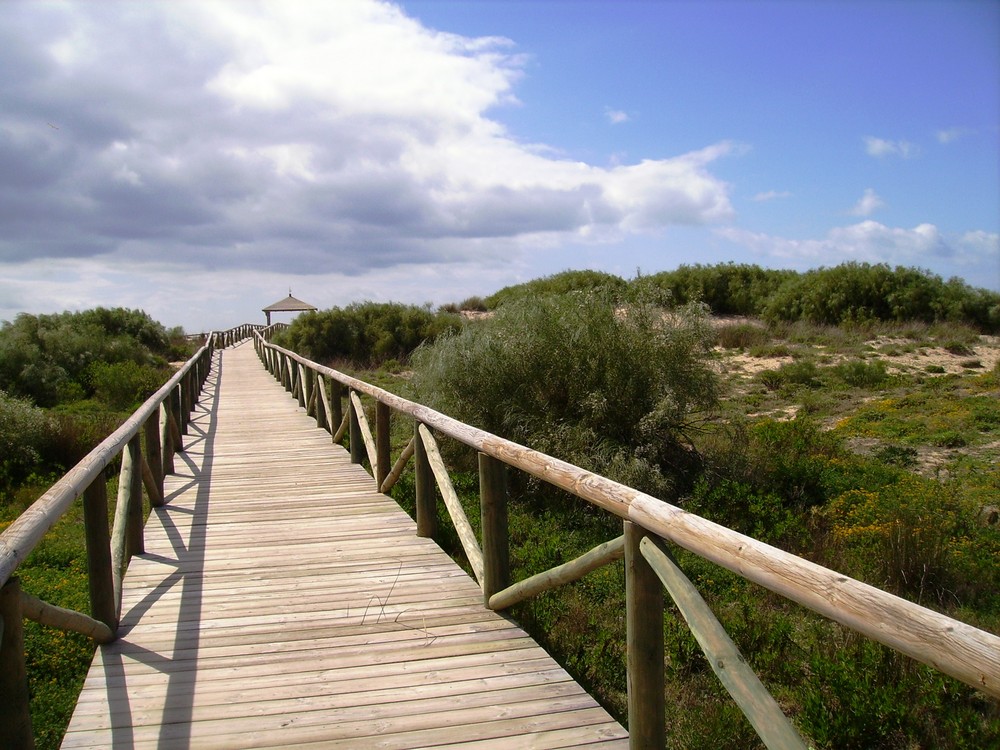 el final del camino