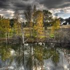 El final del otoño