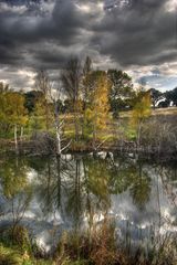 El final del otoño