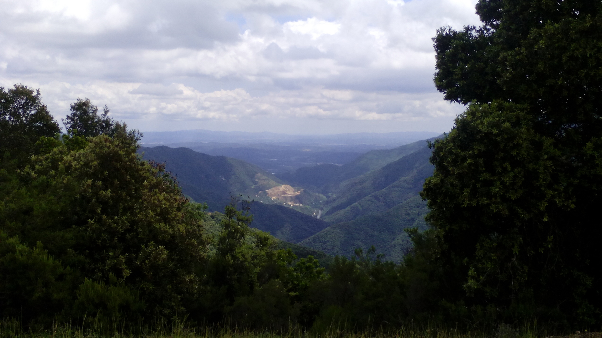   EL FONDO EL PANTANO  