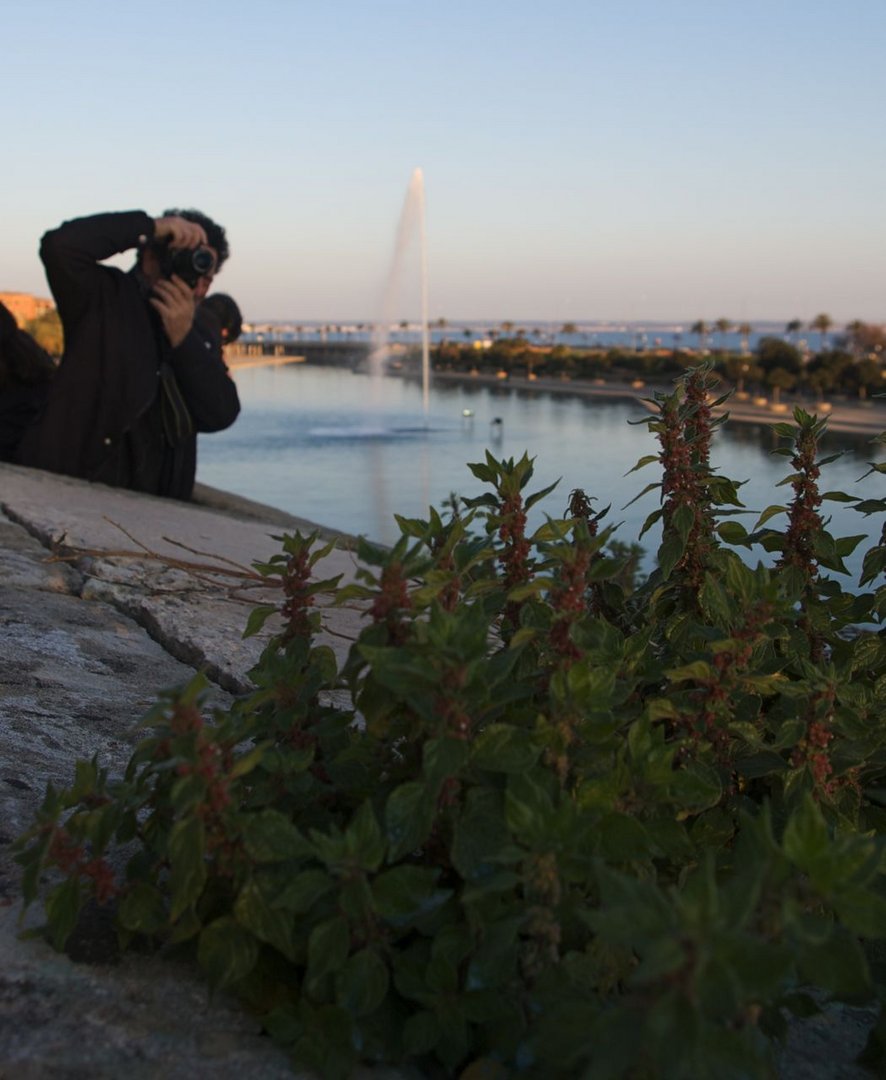 El fotografo