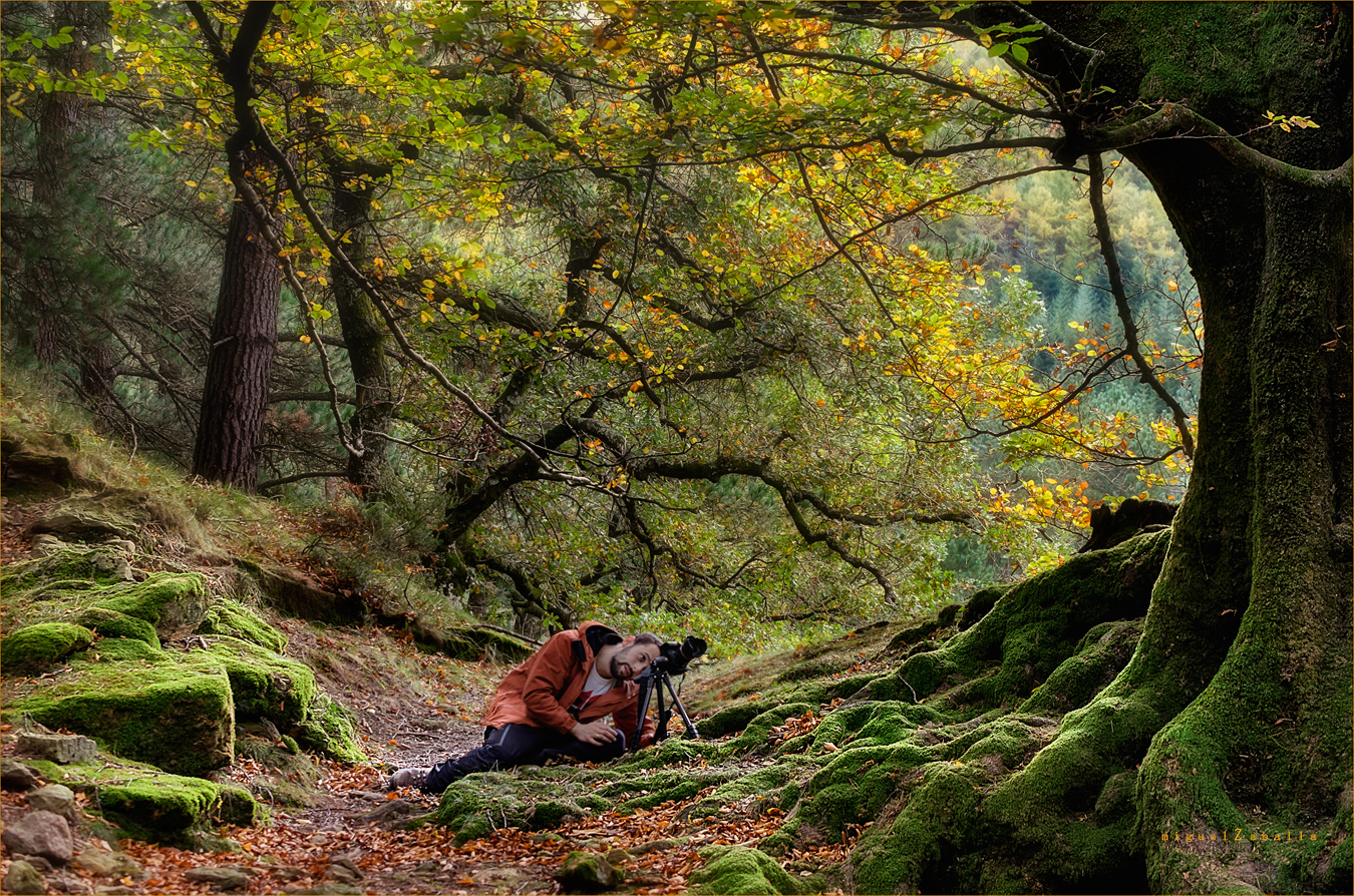 El fotografo y el otoño