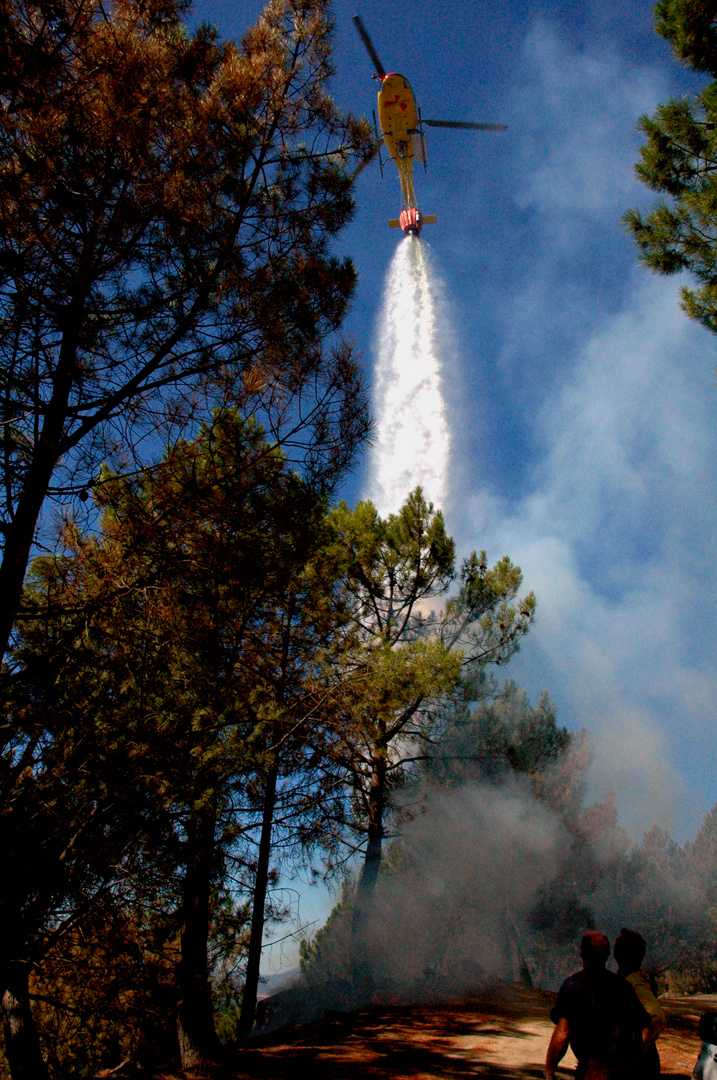 El fuego en la NATURALEZA