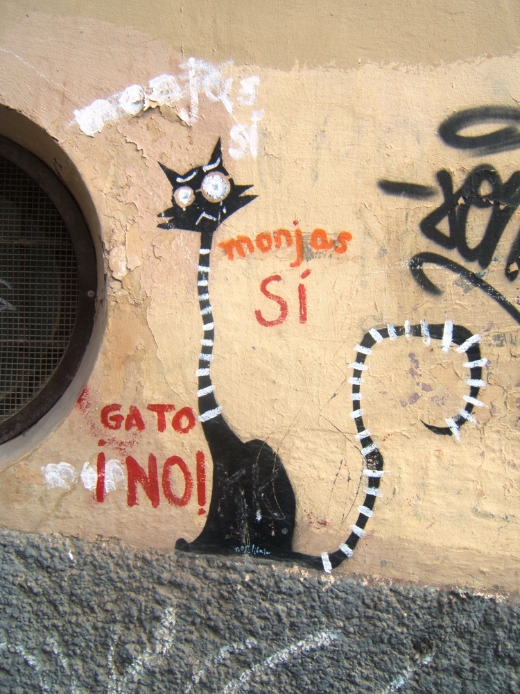 el gato