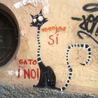 el gato