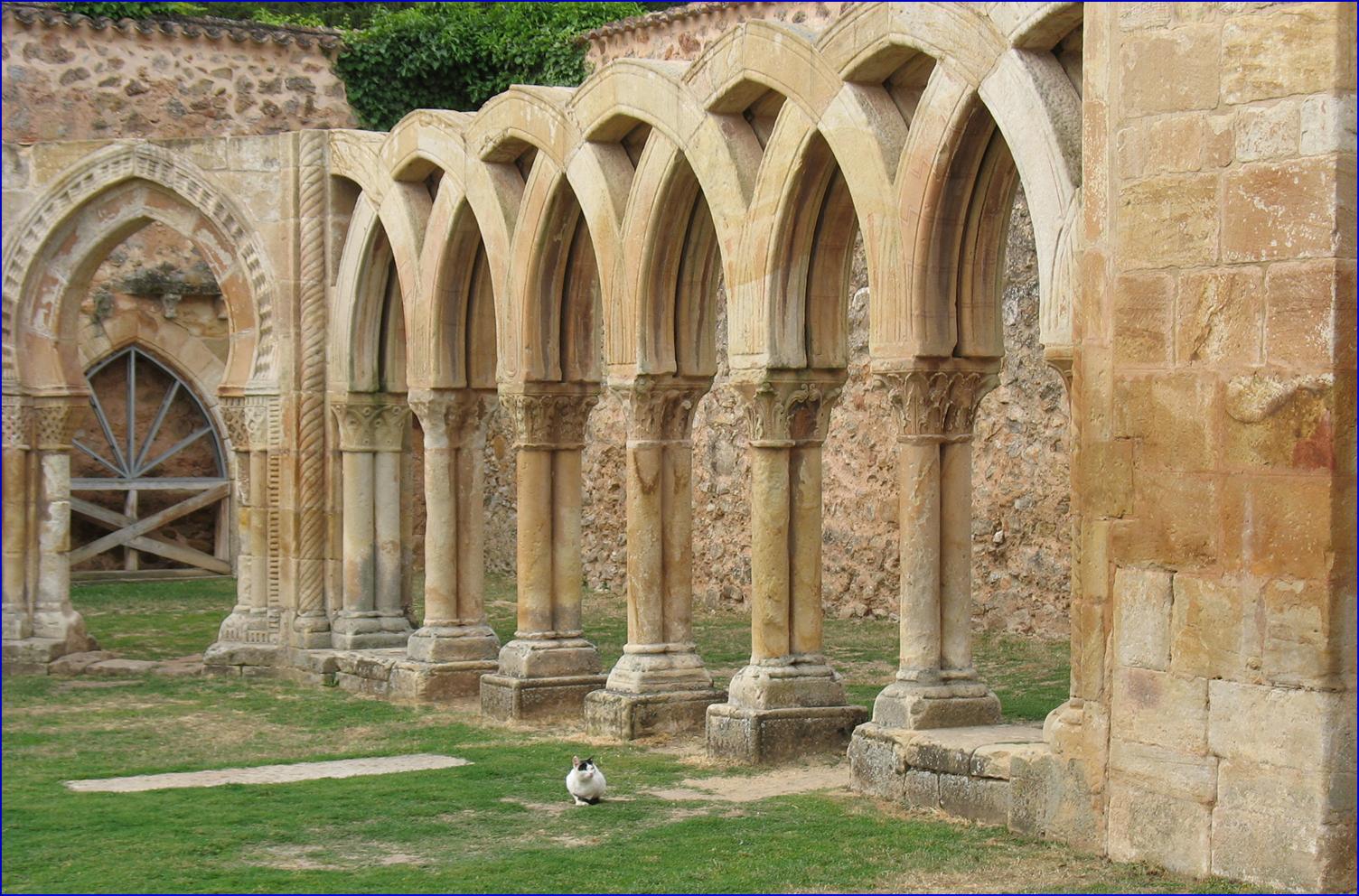 El gato en el claustro