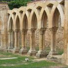 El gato en el claustro