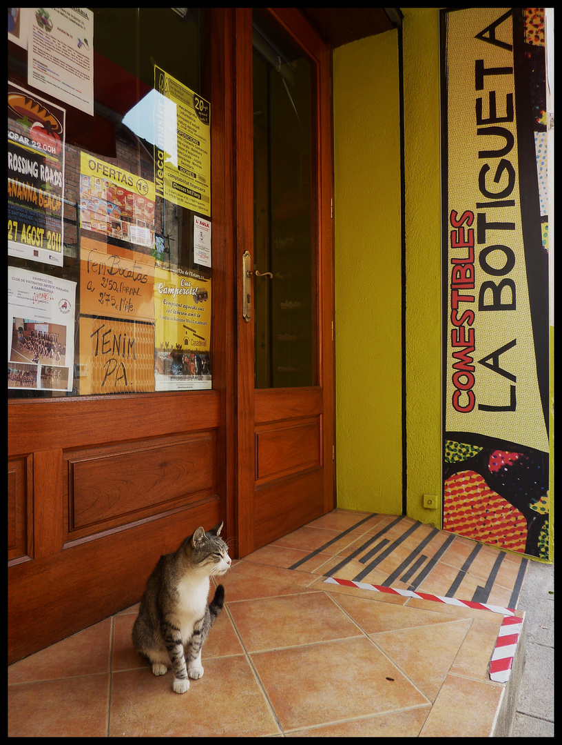 EL GATO GUARDIÁN