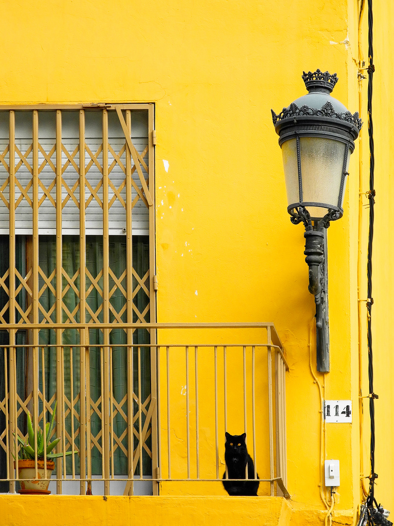 El gato negro 