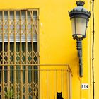 El gato negro 