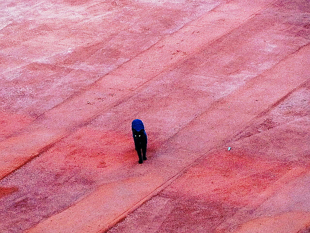 El gato negro sobre la cancha de tenis roja