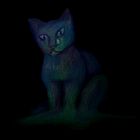 El Gato Que Está Triste y Azul