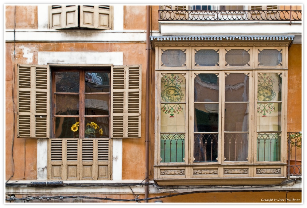 El Girasol en la Ventana (Die Sonnenblume im Fenster)