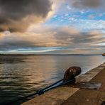 EL GUADIANA LOS SEPARA