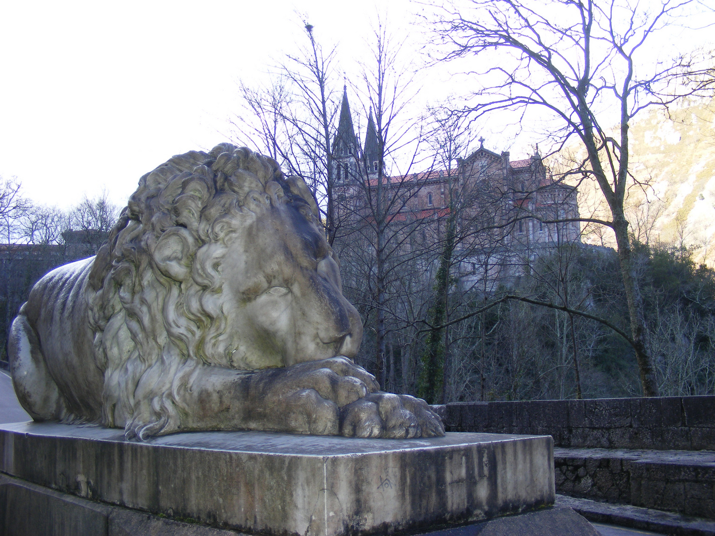 EL GUARDIAN DE COVANDONGA