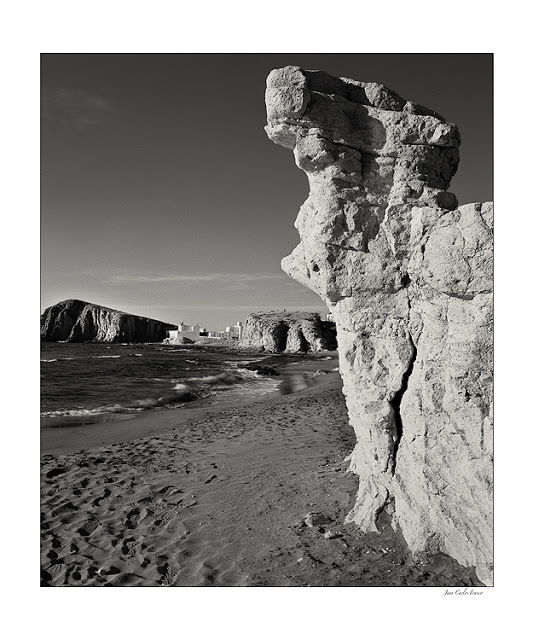 el guardian de la playa