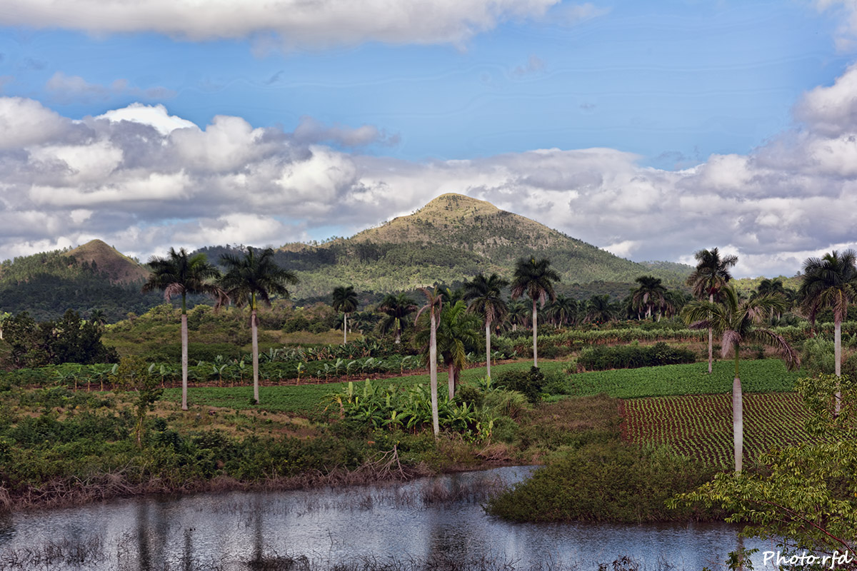 El Guayabo 2