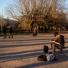 El guitarrista