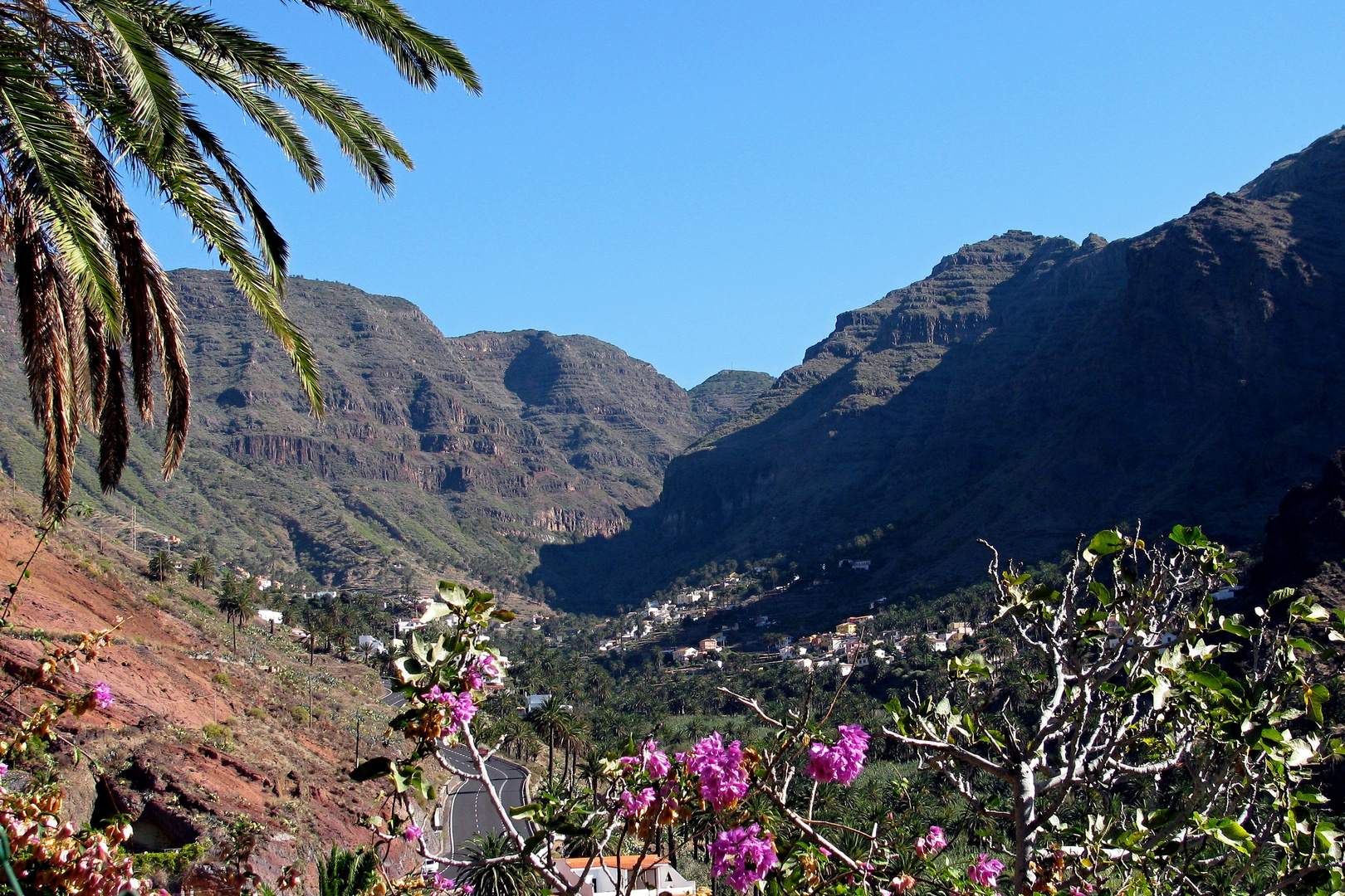 EL Guro Ausblick