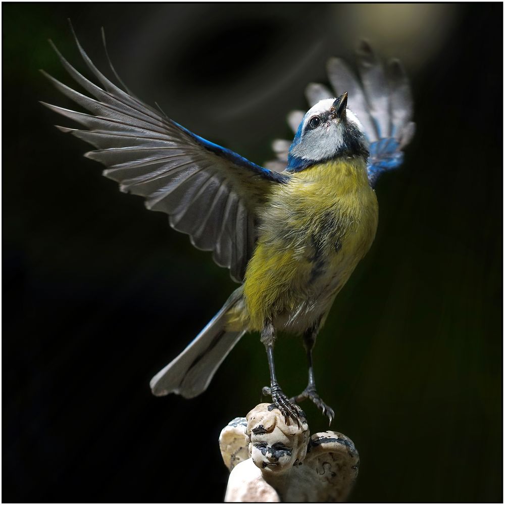 el héroe II Foto & Bild konzert, frühling, brandenburg Bilder auf